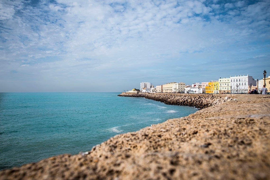 un plato blanco lleno de mejillones con limón y perejil