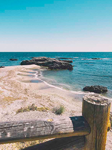 une clôture en bois sur une plage avec l' océan en arrière-plan .
