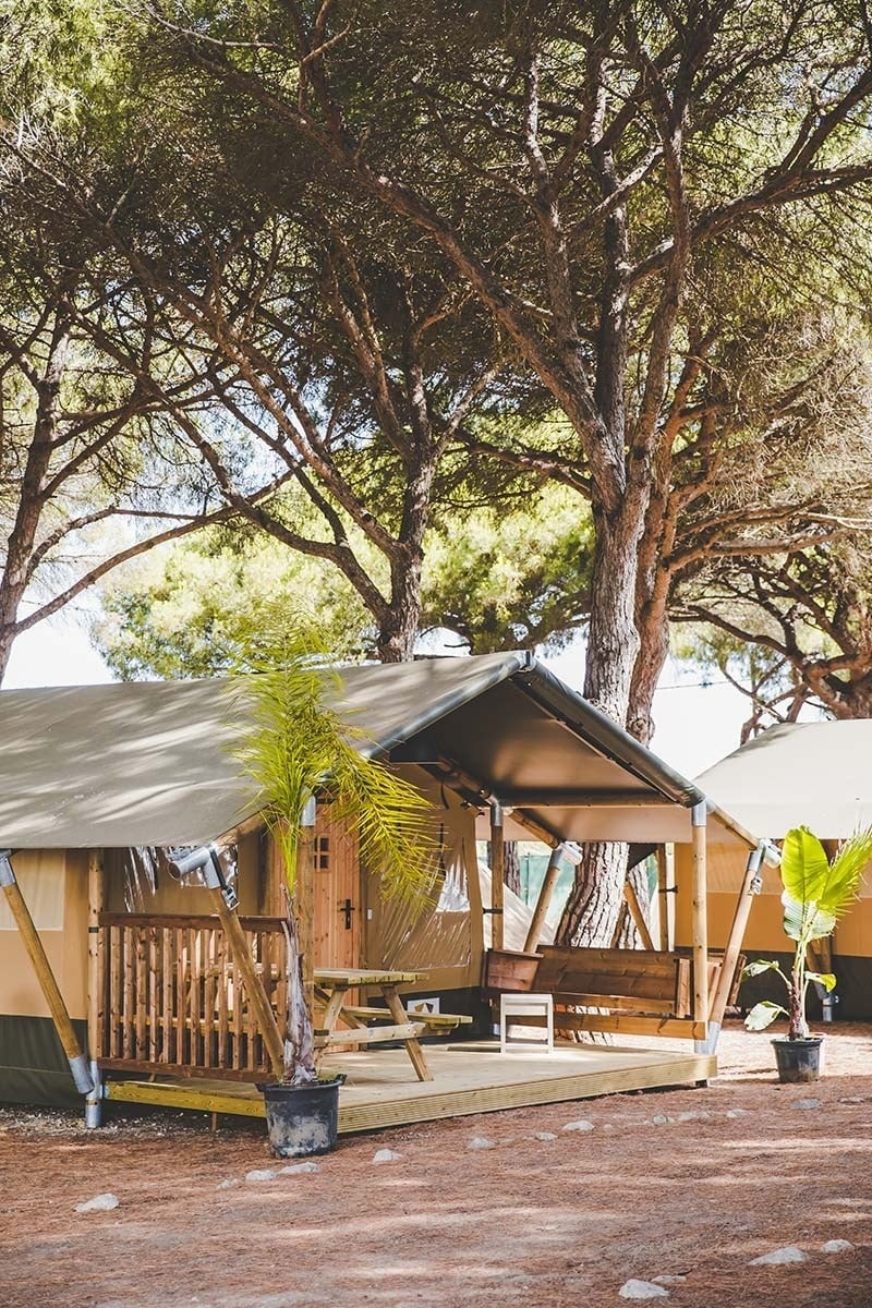 una tenda amb un banc i una mesa de pícnic a l' aire lliure