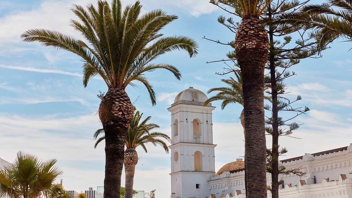 una torre blanca está rodeada de palmeras y un edificio blanco