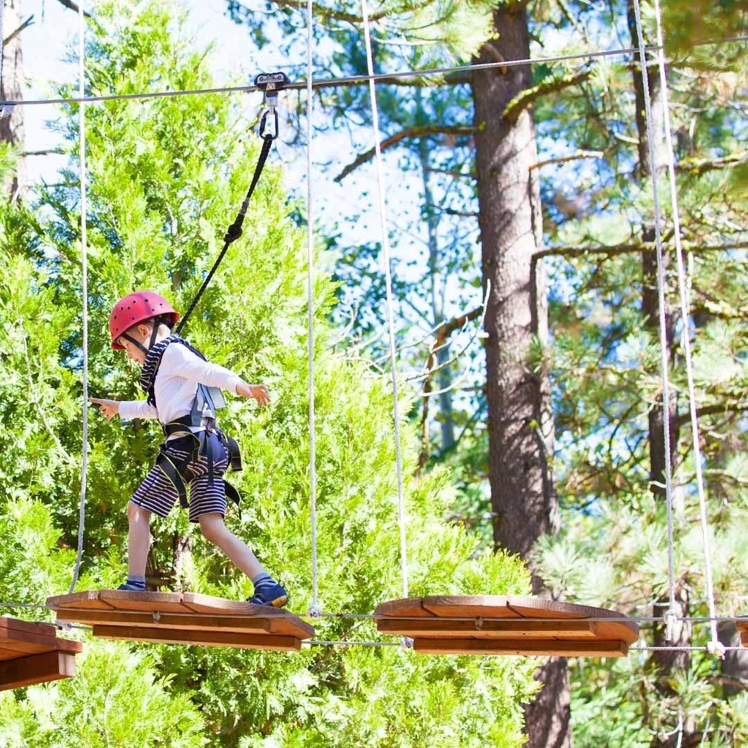 un jeune garçon traverse un pont suspendu dans une forêt .