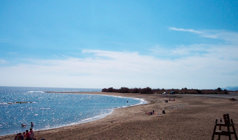 un grup de persones es relaxa en una platja a l' aigua