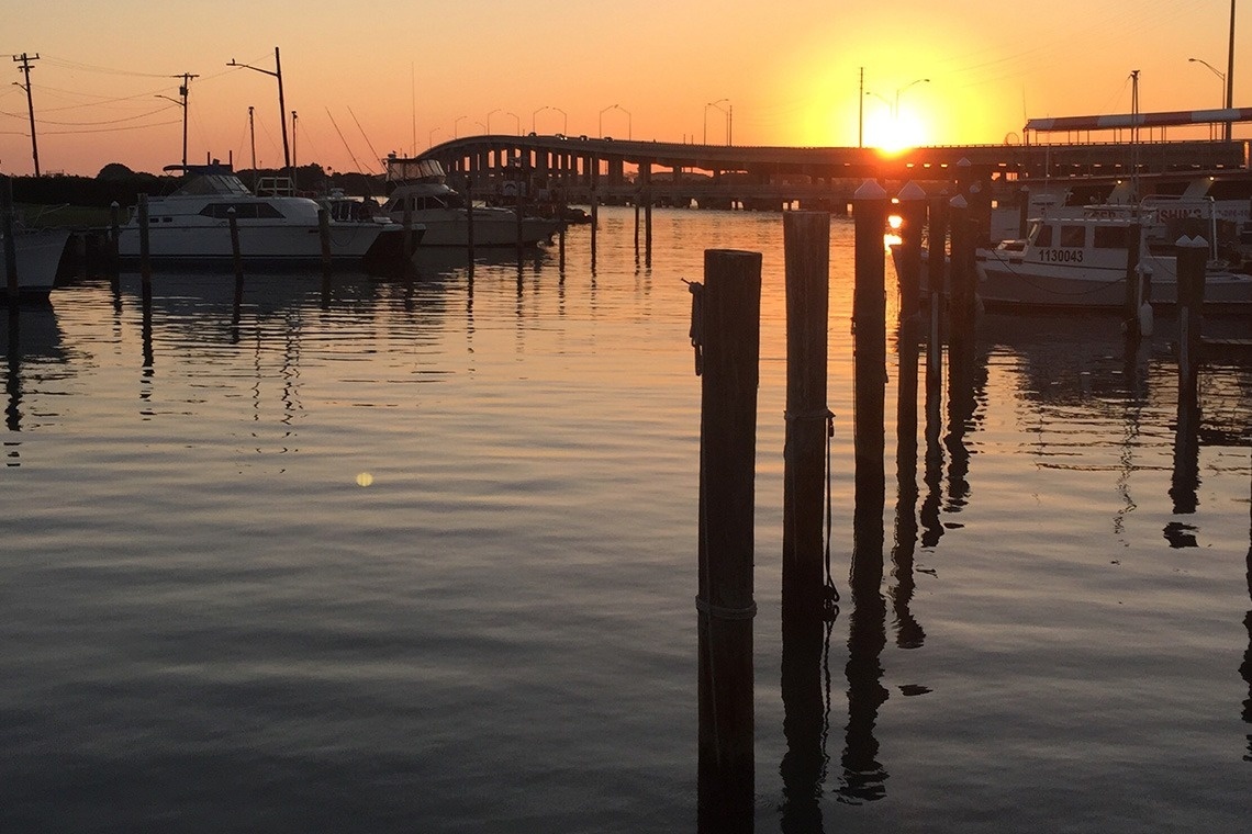 a white plate topped with mussels and lemon slices