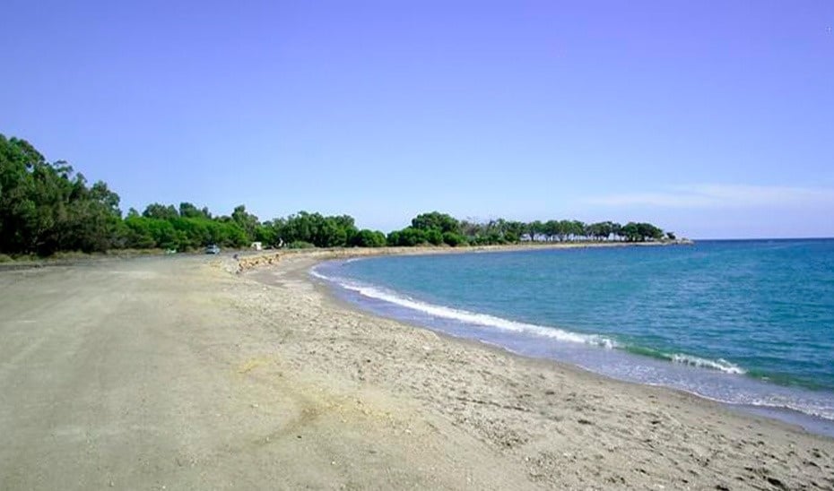 ein sandiger Strand mit einem blauen Ozean dahinter