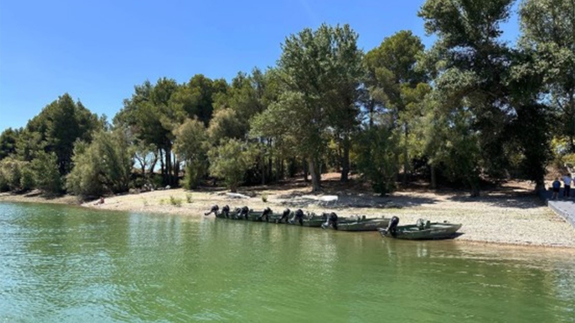 un groupe de bateaux sont alignés sur le rivage d' un lac