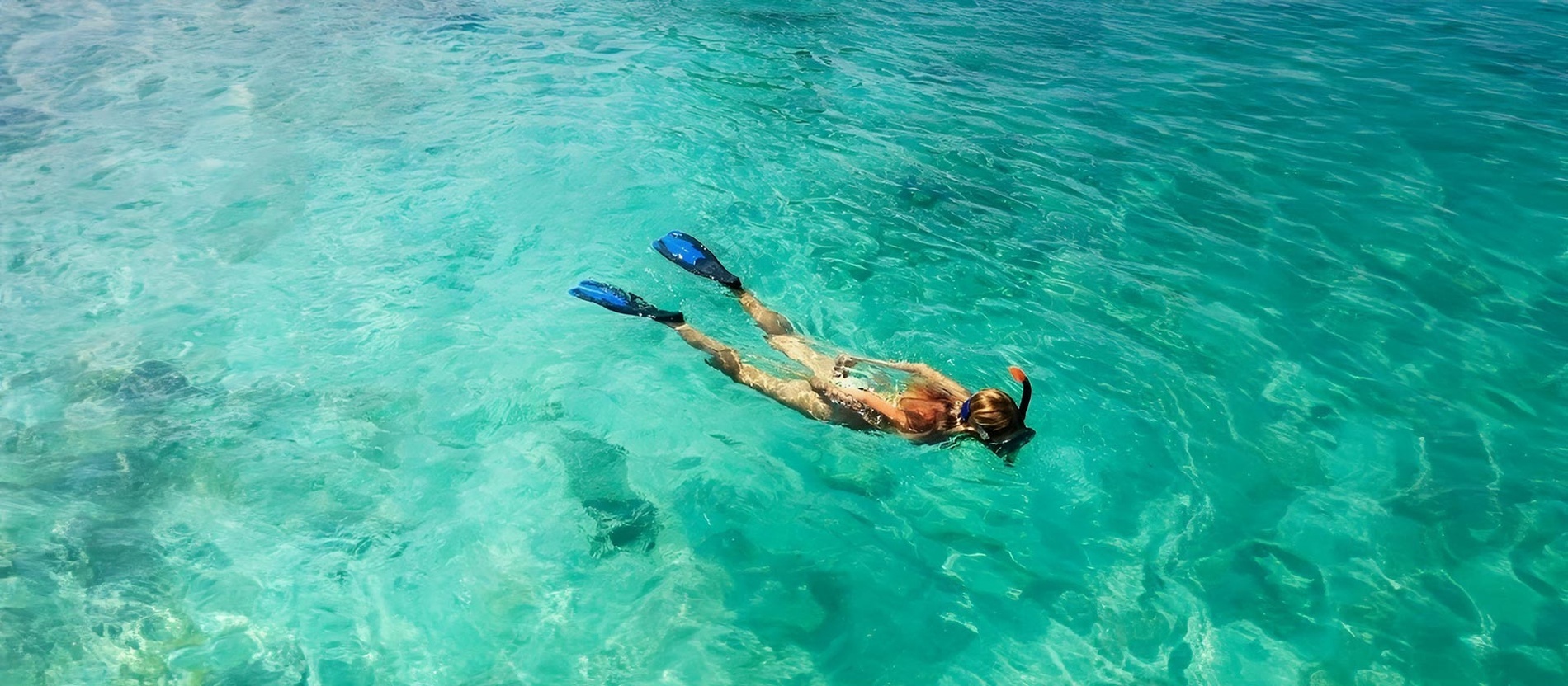 une femme nage dans l' océan avec des palmes bleues