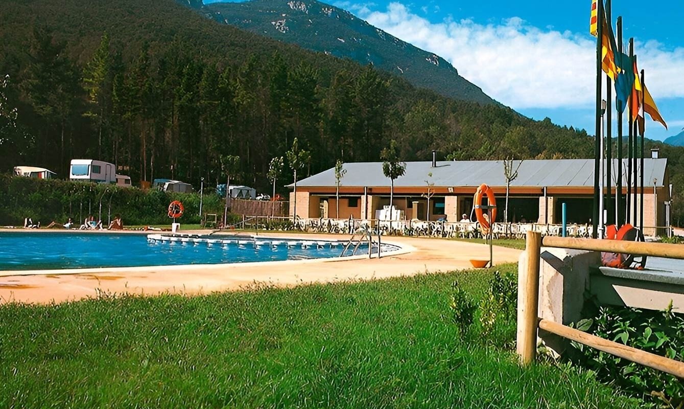 a green heart shaped leaf on a sandy beach