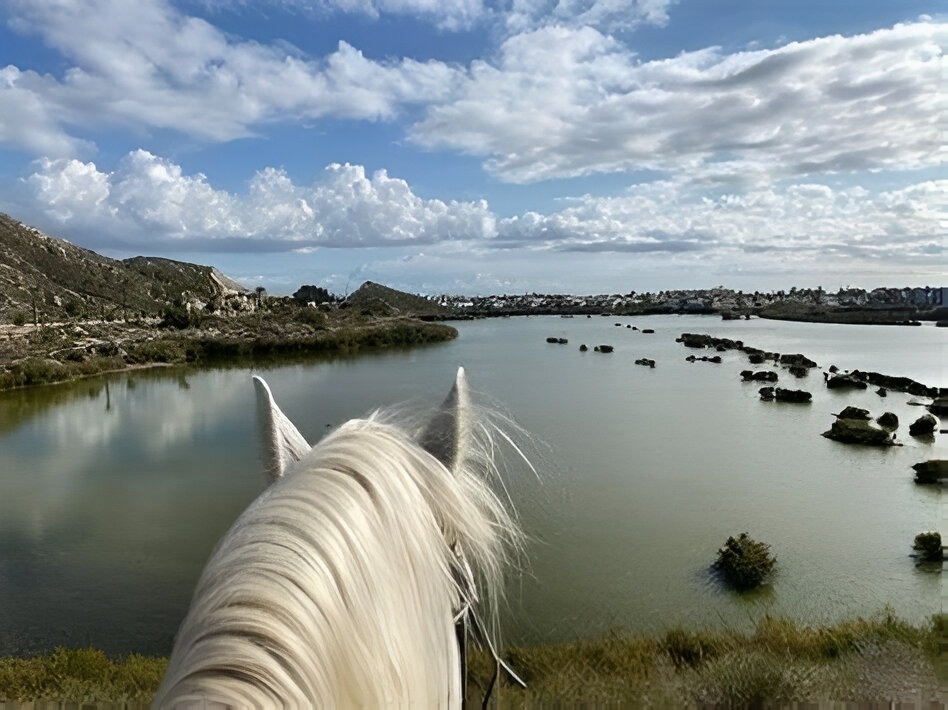 TAIGA | Campings & Resorts