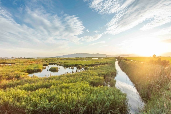 a river runs through a lush green field with mountains in the background