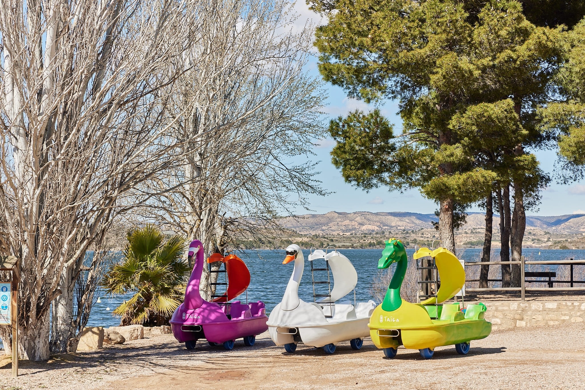 trois bateaux à pédales colorés sont garés l' un à côté de l' autre