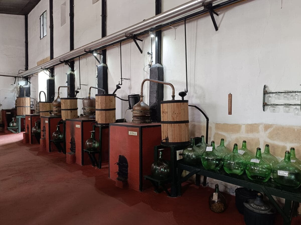 Alambiques y botellas de vidrio verde en destilería. Taiga: Corporativa turístico.