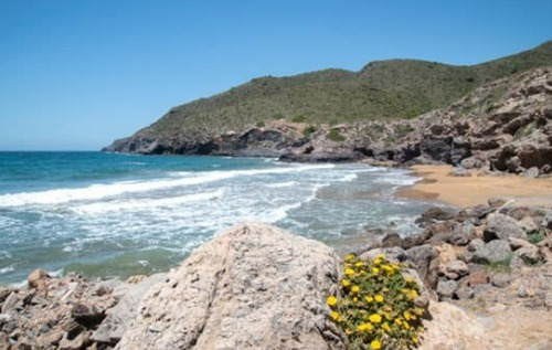 Bahía natural con playa de arena, ideal para el retiro Taiga: Corporativa.
