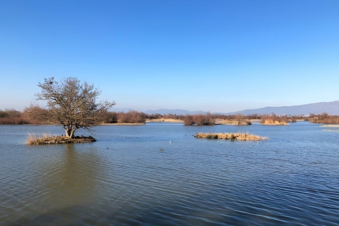 TAIGA | Campings & Resorts