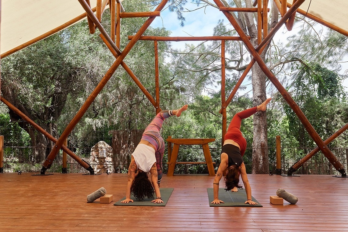 zwei Frauen stehen auf Yogamatten auf einem Holzdeck