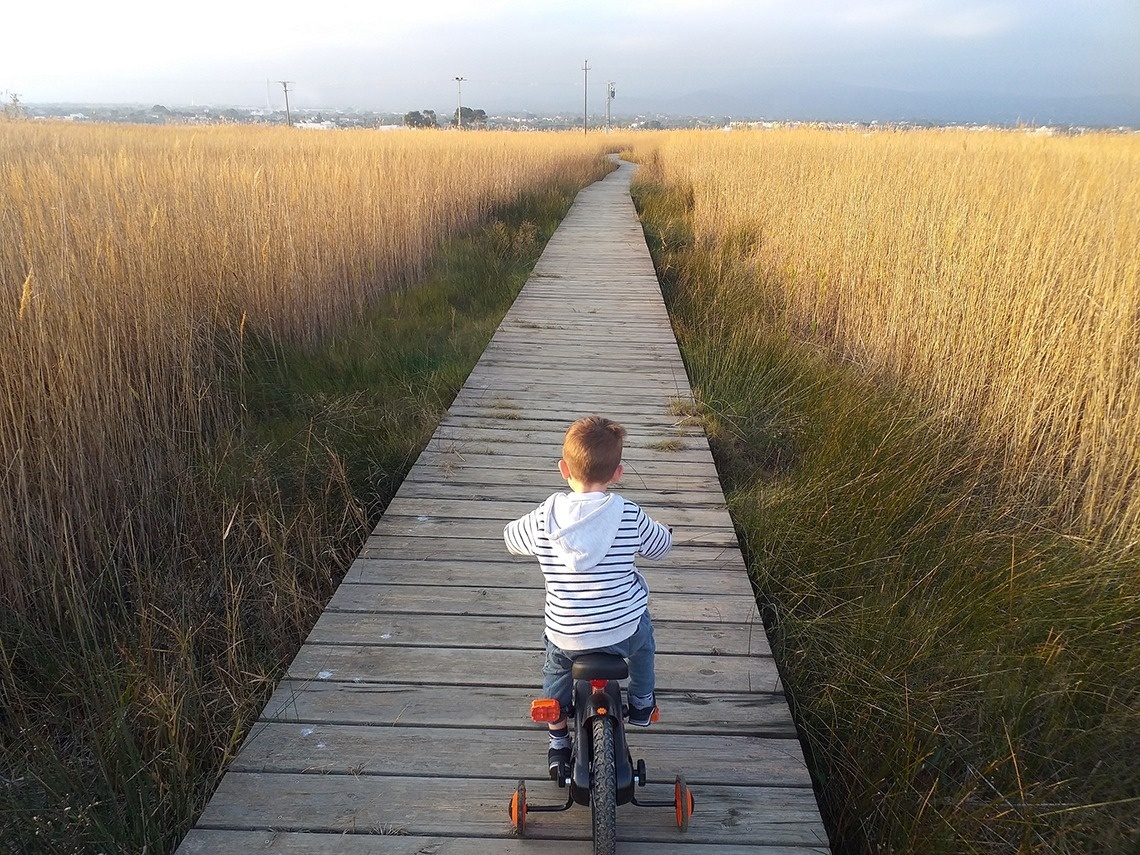 a young boy is riding a bike on a wooden walkway
