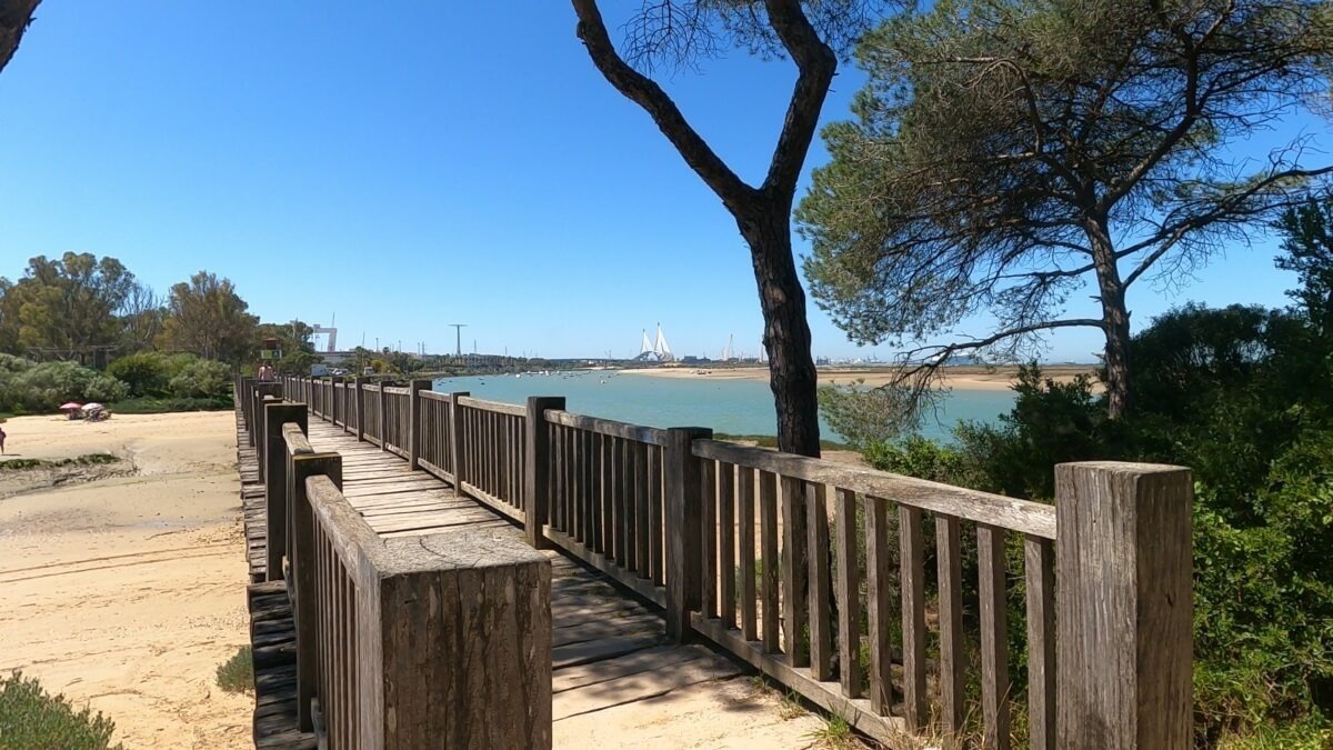 un pont en bois s'étend sur l' eau avec une ville en arrière-plan