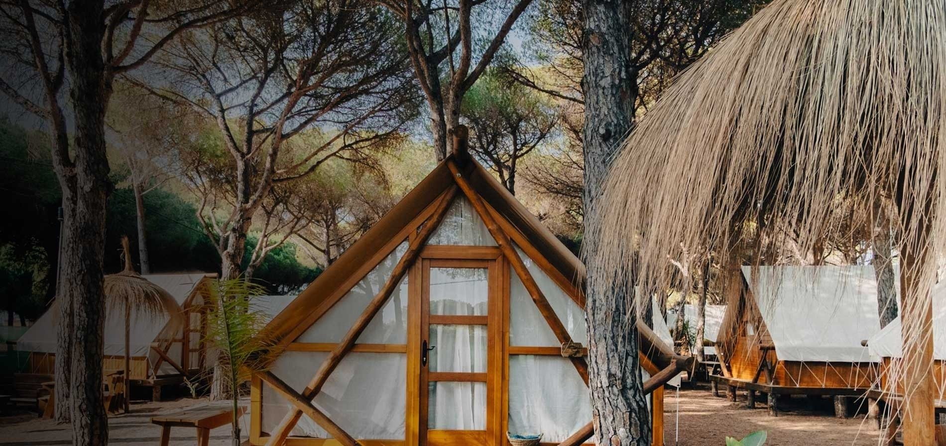 une tente en bois est entourée d' arbres dans une forêt