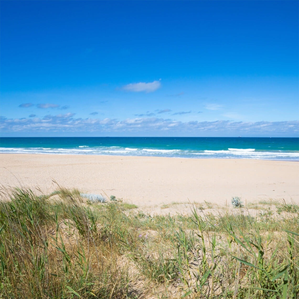 una platja de sable amb l' aigua al fons
