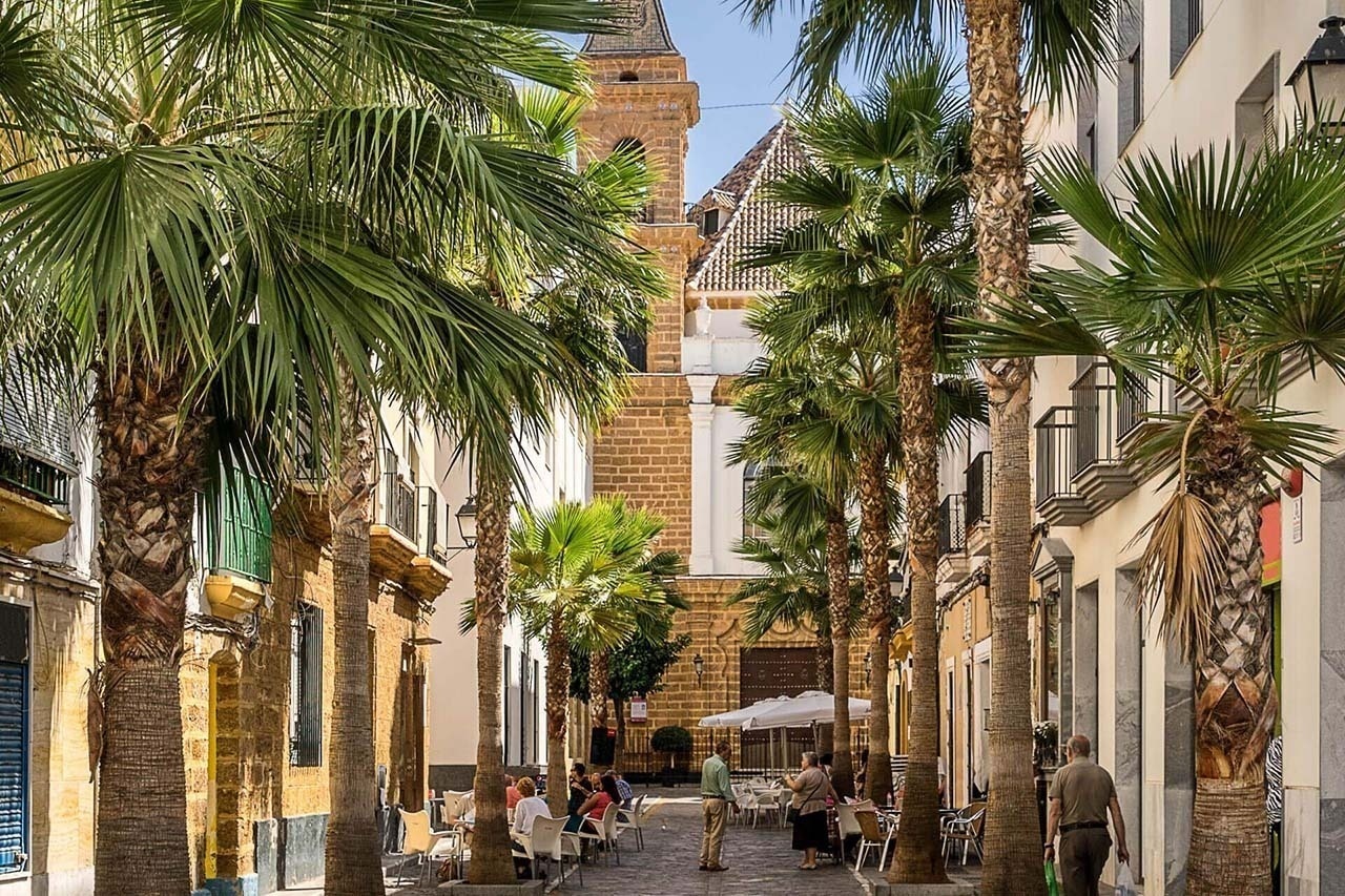 un groupe de personnes est assis à des tables à l' ombre des palmiers