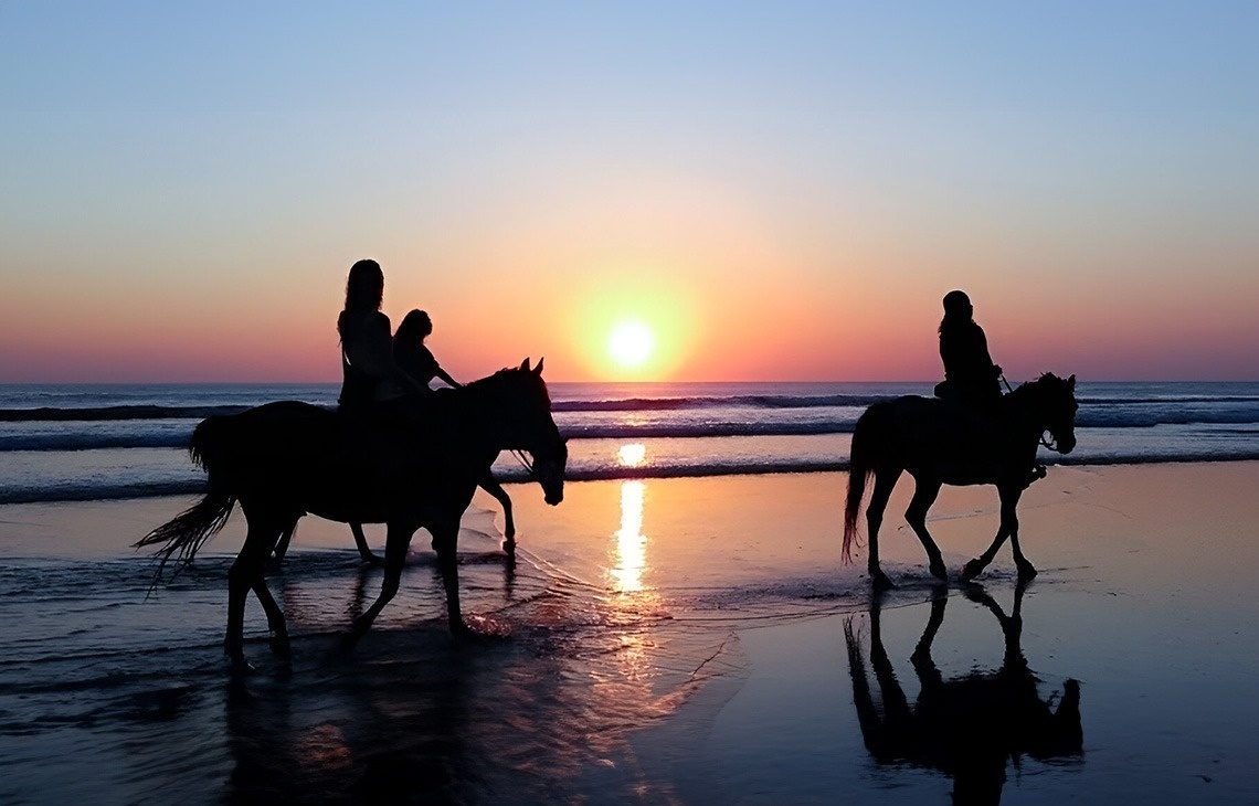 ein sandiger Strand mit einem Holzzaun im Vordergrund