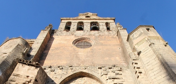 a man playing with two dogs on the beach