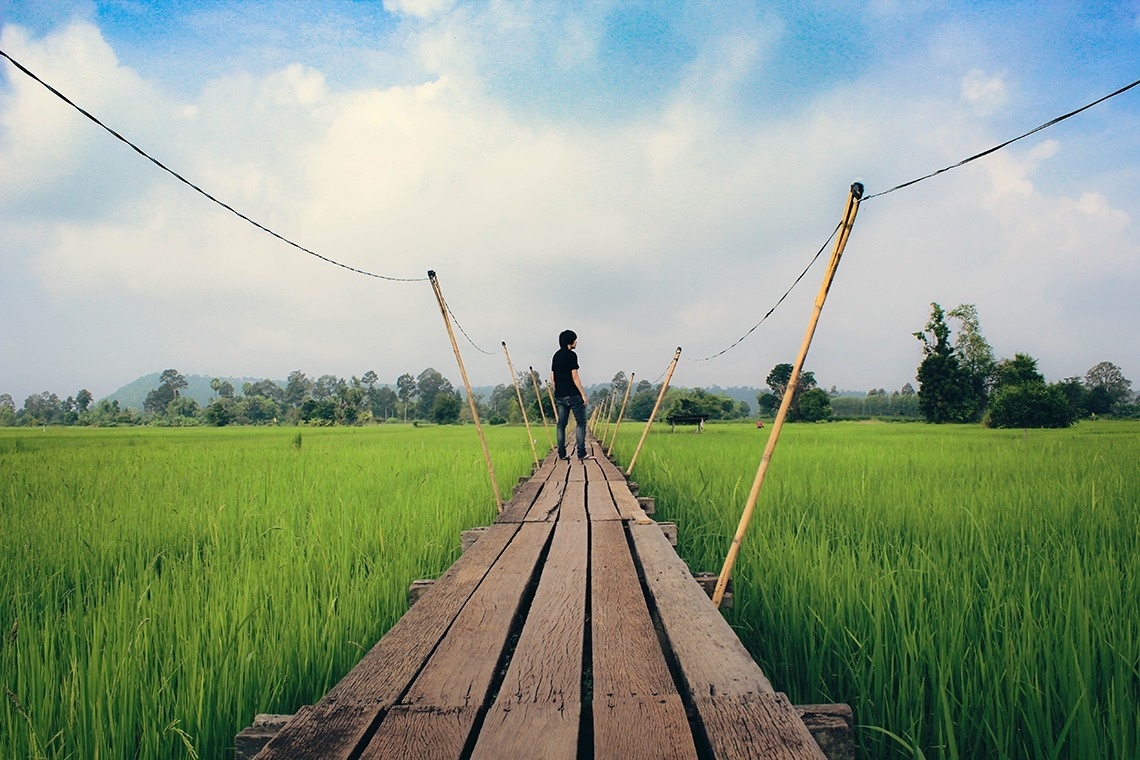 a man stands on a wooden bridge over a green field