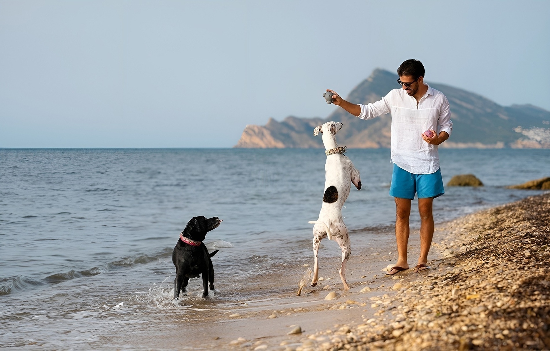 een man speelt met twee honden op het strand