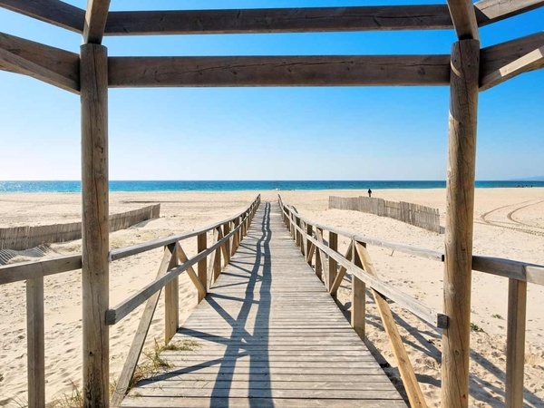a wooden walkway leads to the beach and ocean
