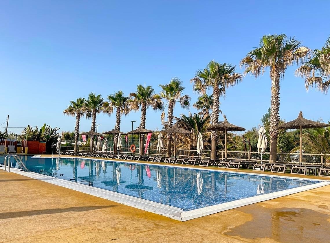 a large swimming pool surrounded by palm trees and umbrellas