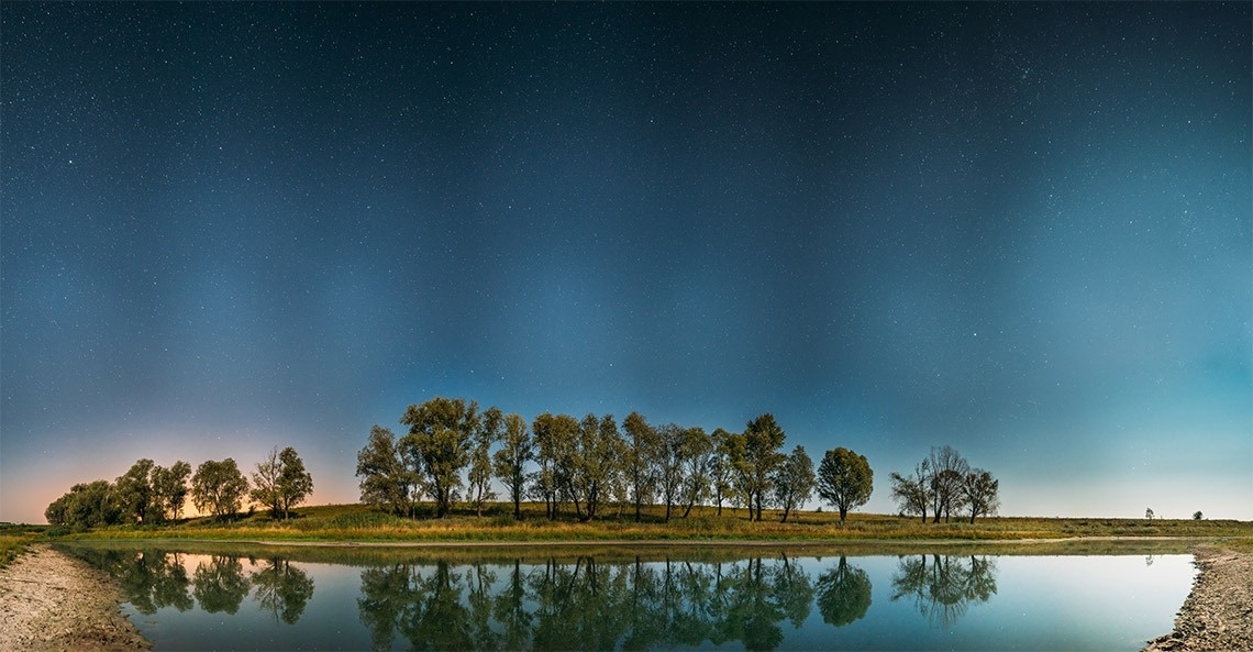 un grupo de árboles junto a un lago con un cielo estrellado en el fondo