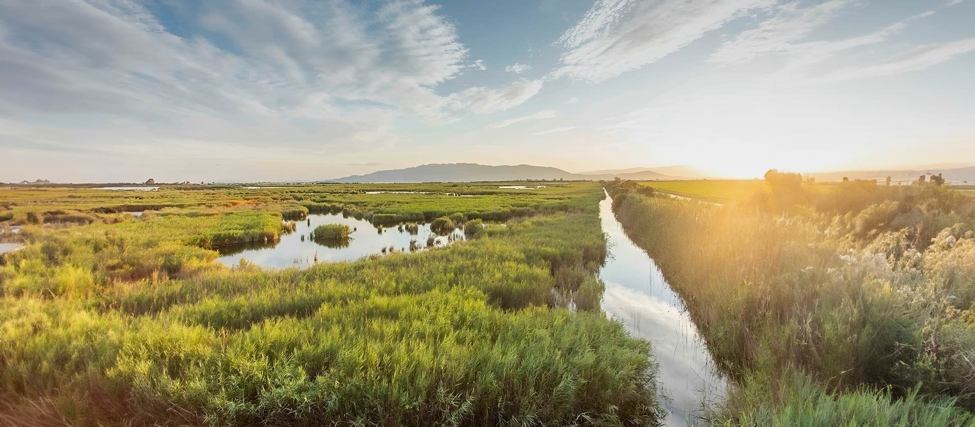 a river runs through a lush green field with mountains in the background