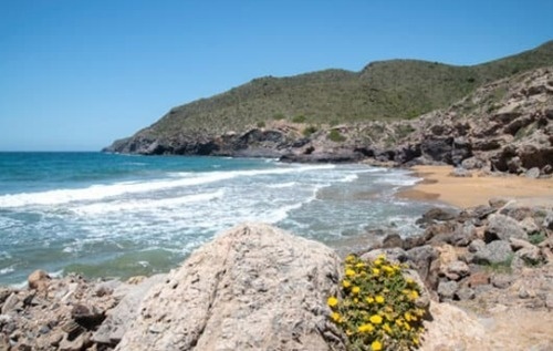 un grupo de hombres con tablas de surf en la playa