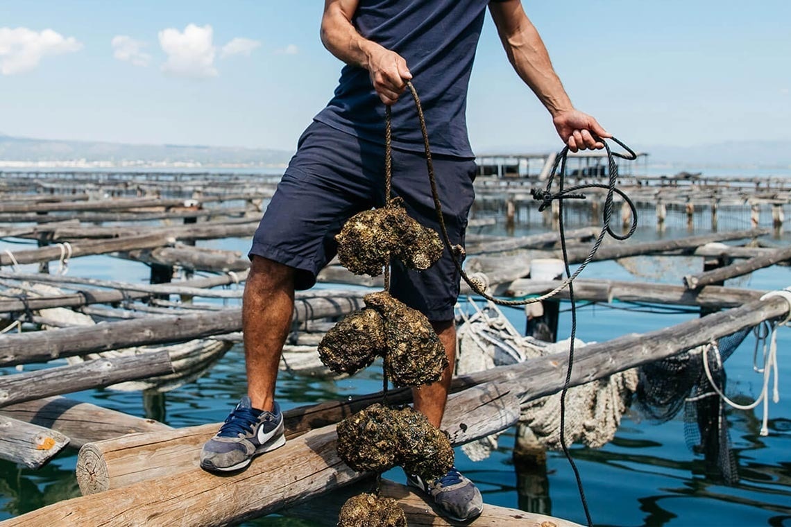ein Mann steht auf einem Holzsteg und hält eine Schnur in der Hand