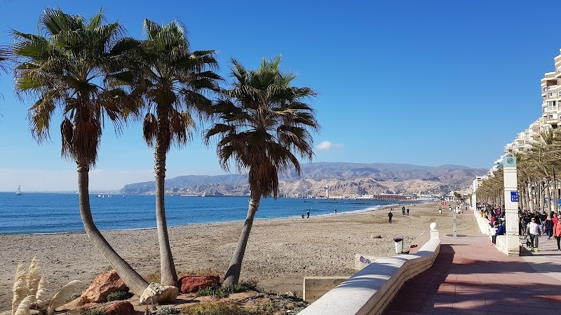a beach with palm trees and mountains in the background