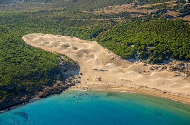 una vista aérea de una playa con dunas de arena y árboles