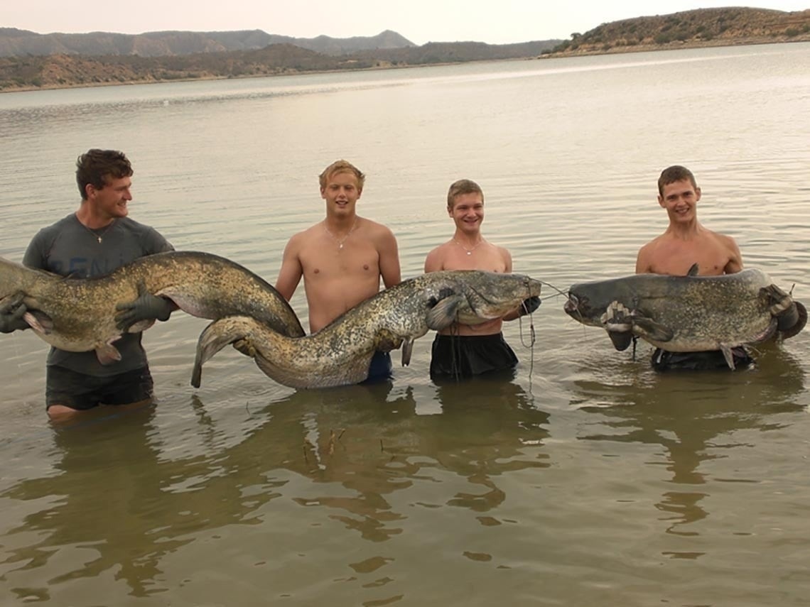 un grupo de hombres sostiene grandes peces en el agua