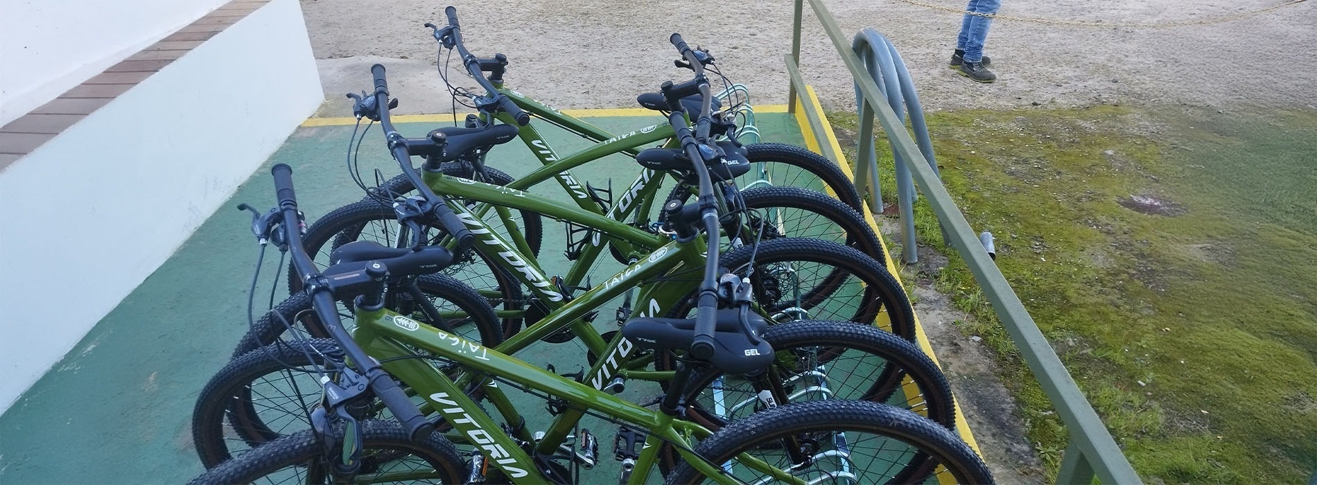 un groupe de vélos verts sont alignés dans un rack