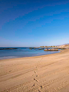 une plage avec des empreintes de pas dans le sable