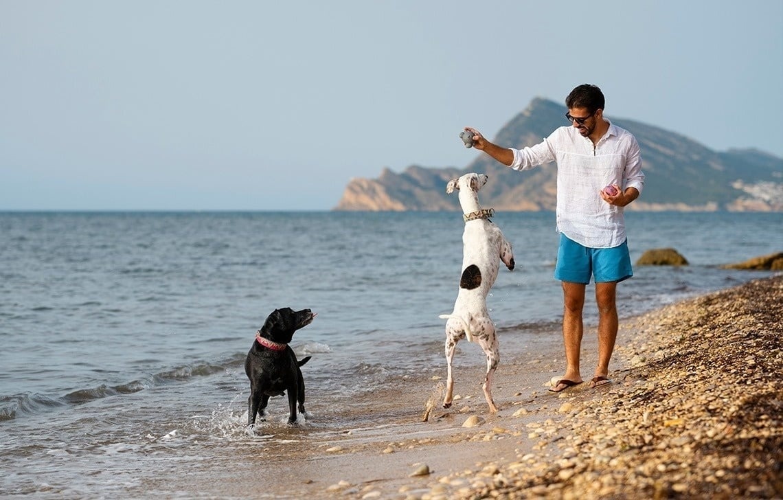 un hombre juega con dos perros en la playa