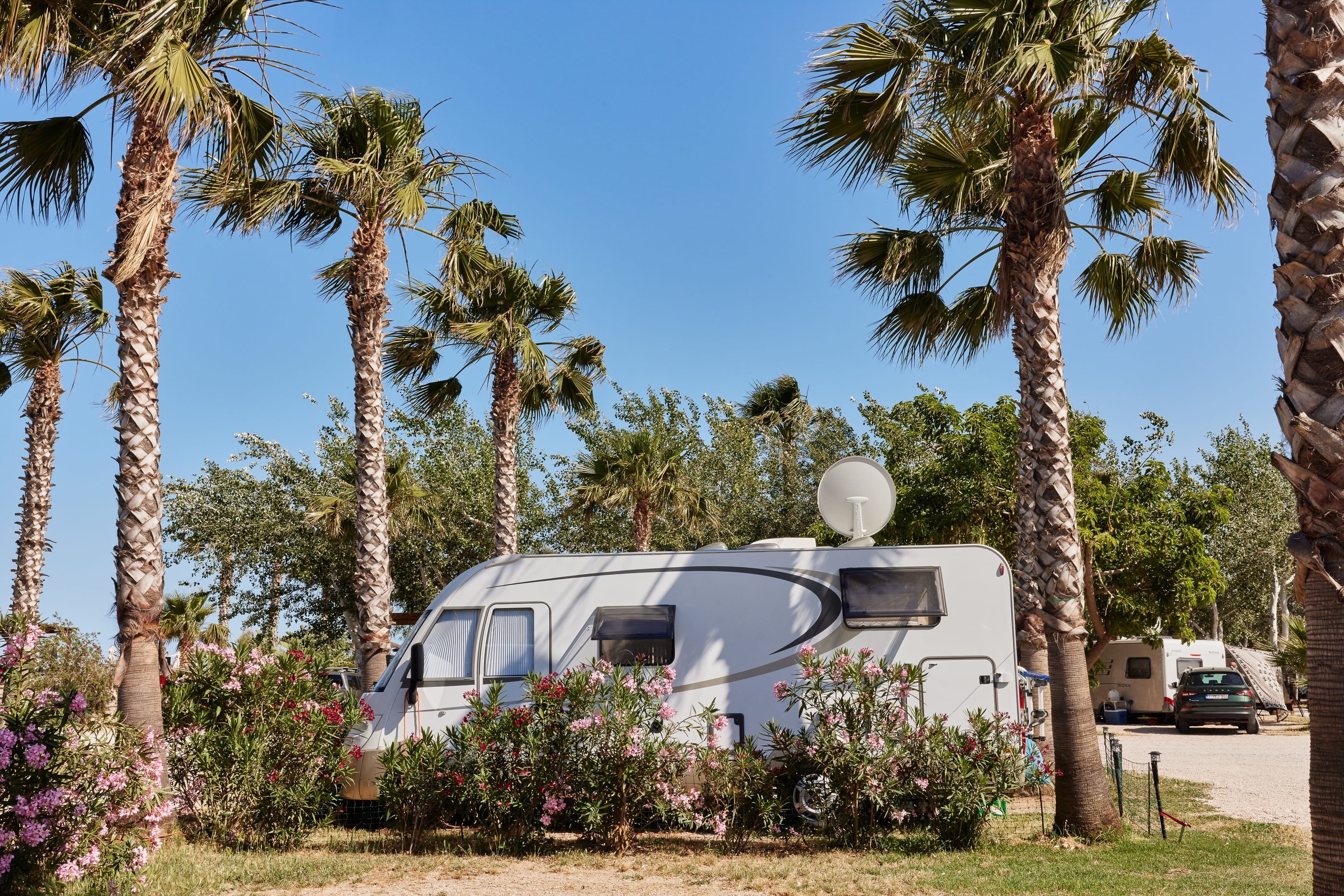 een witte rv met een antenne bovenop staat geparkeerd tussen palmbomen