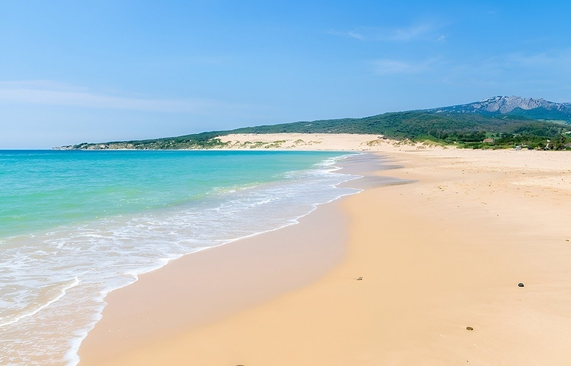 ein sandiger Strand mit einem Holzzaun im Vordergrund