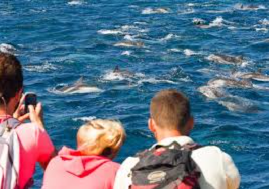 une assiette d' huîtres et deux verres de champagne sur une table
