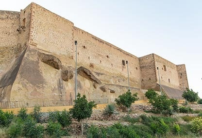 un gran castillo de piedra está rodeado de árboles y arbustos .