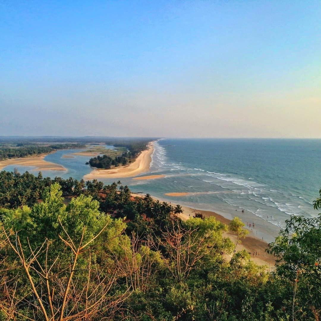 een uitzicht op een strand met bomen op de voorgrond
