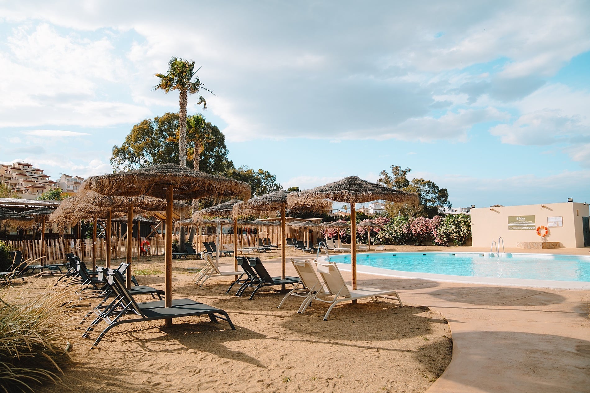 TAIGA Almería Playa: Tumbonas y sombrillas junto a la piscina del resort.