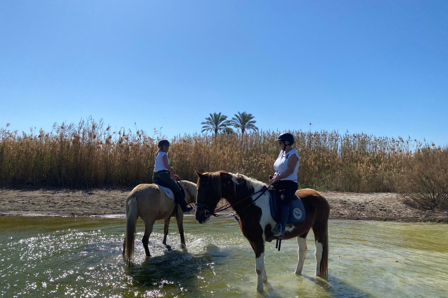 tres personas montan a caballo en la playa al atardecer
