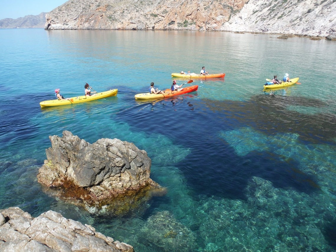 un groupe de personnes en kayak dans l' océan