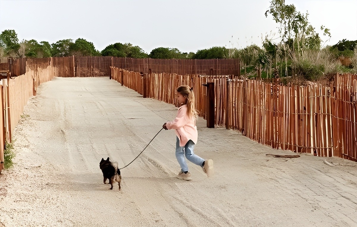 una niña pasea a su perro por un camino de arena
