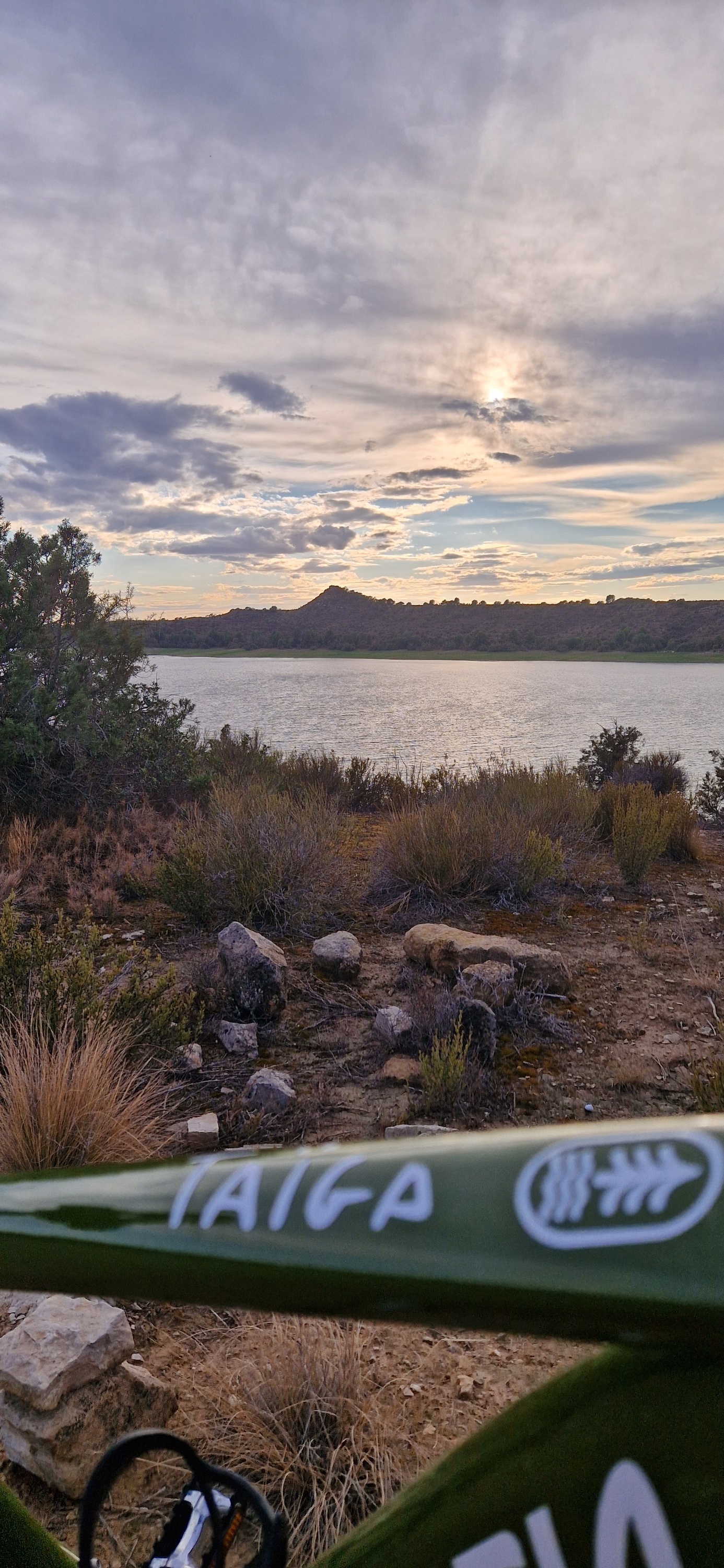 una bicicleta verde con la palabra taiga en la parte delantera