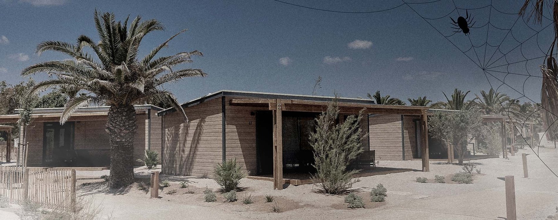 een houten huis met een veranda en palmbomen